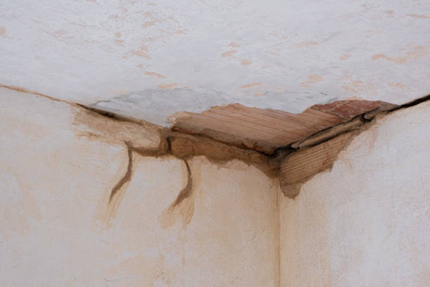 Best Local water damage restoration  in Salmon Brook, CT