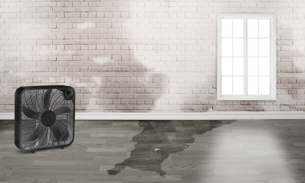 Fire Damage Restoration in Salmon Brook, CT