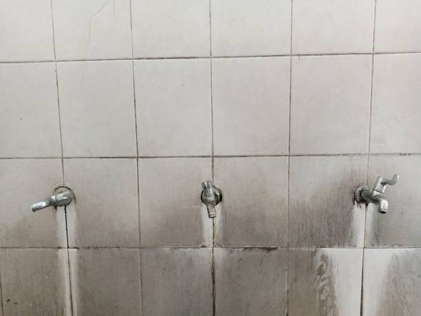Best Water damage restoration near me  in Salmon Brook, CT